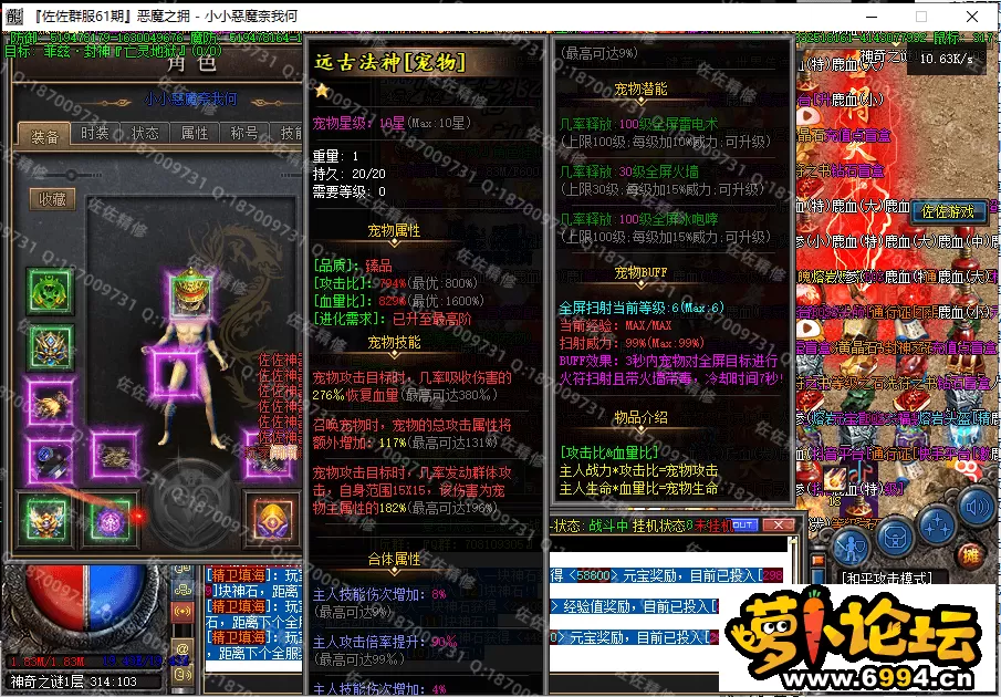 31.webp