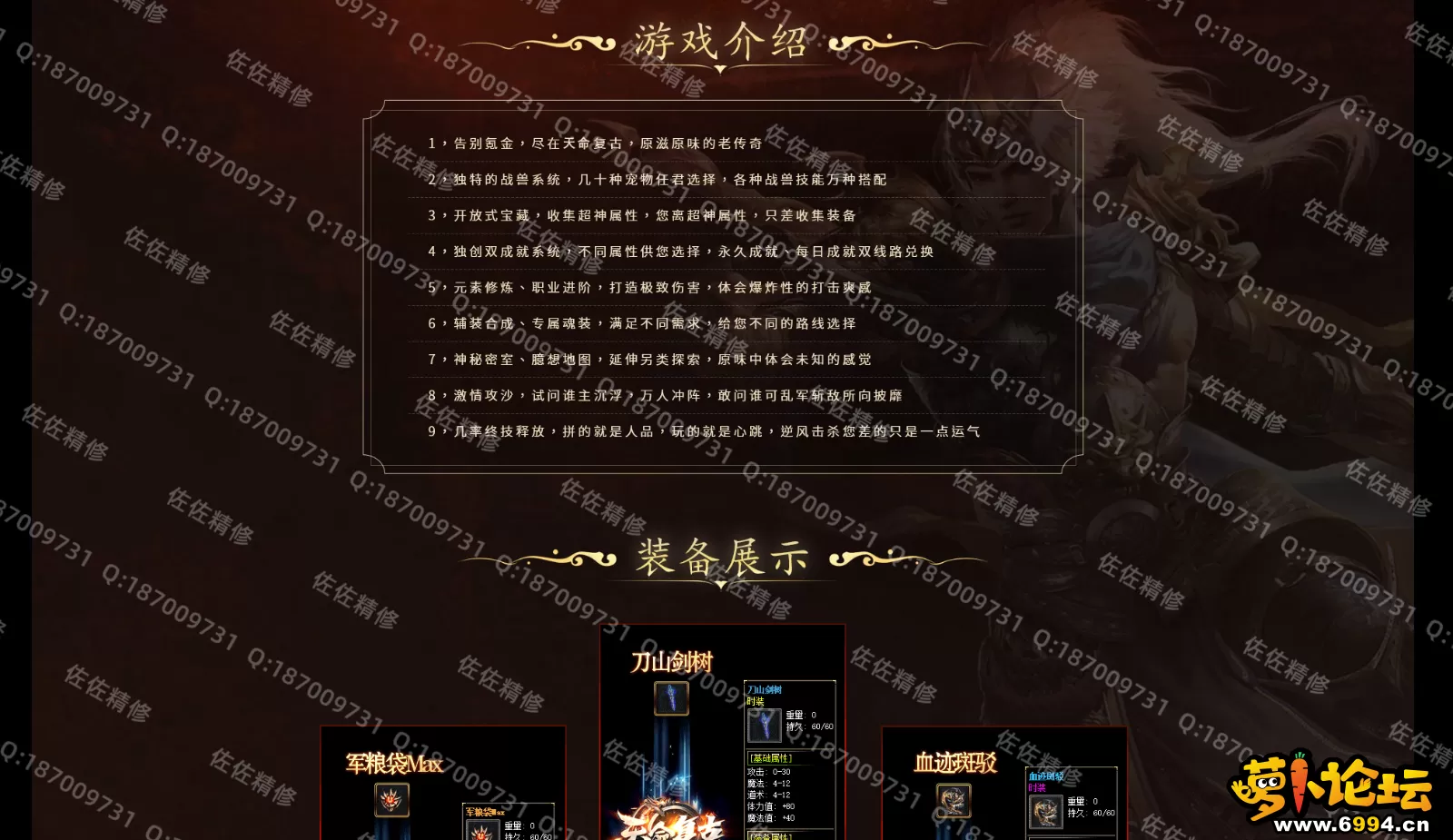 网站2.webp