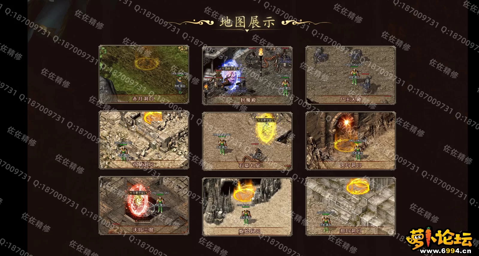 网站4.webp