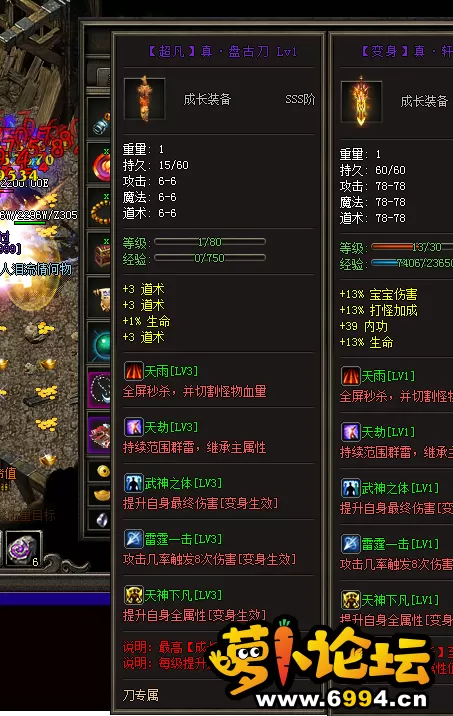 41.webp