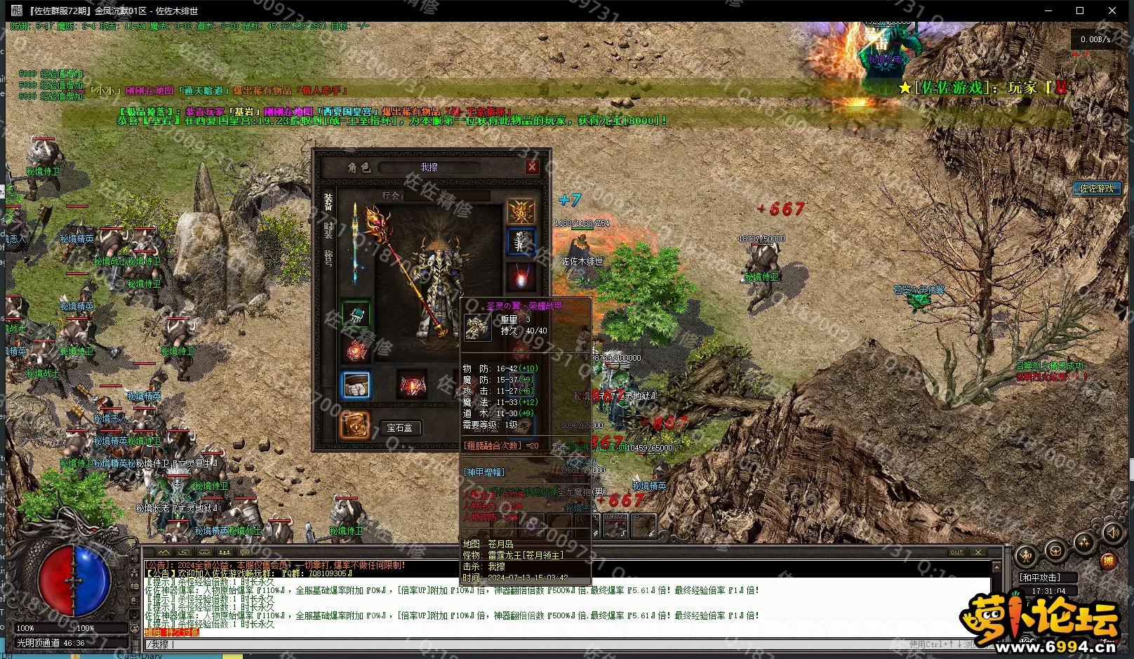 13.webp