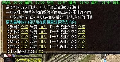 5.webp