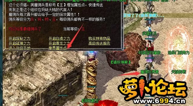 13.webp