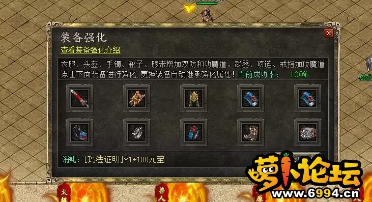 14.webp