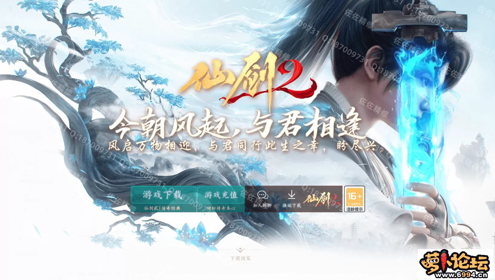 网站1.webp