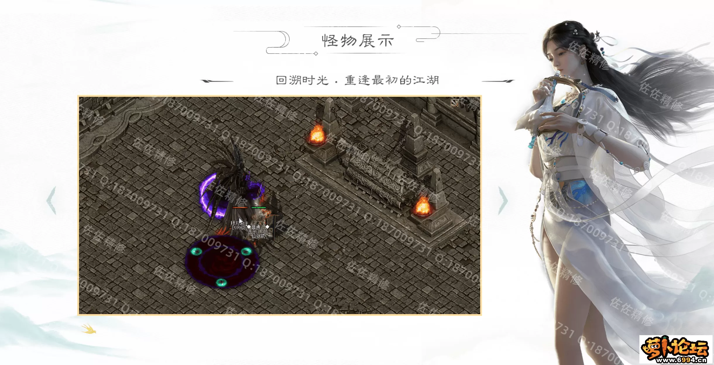 网站5.webp