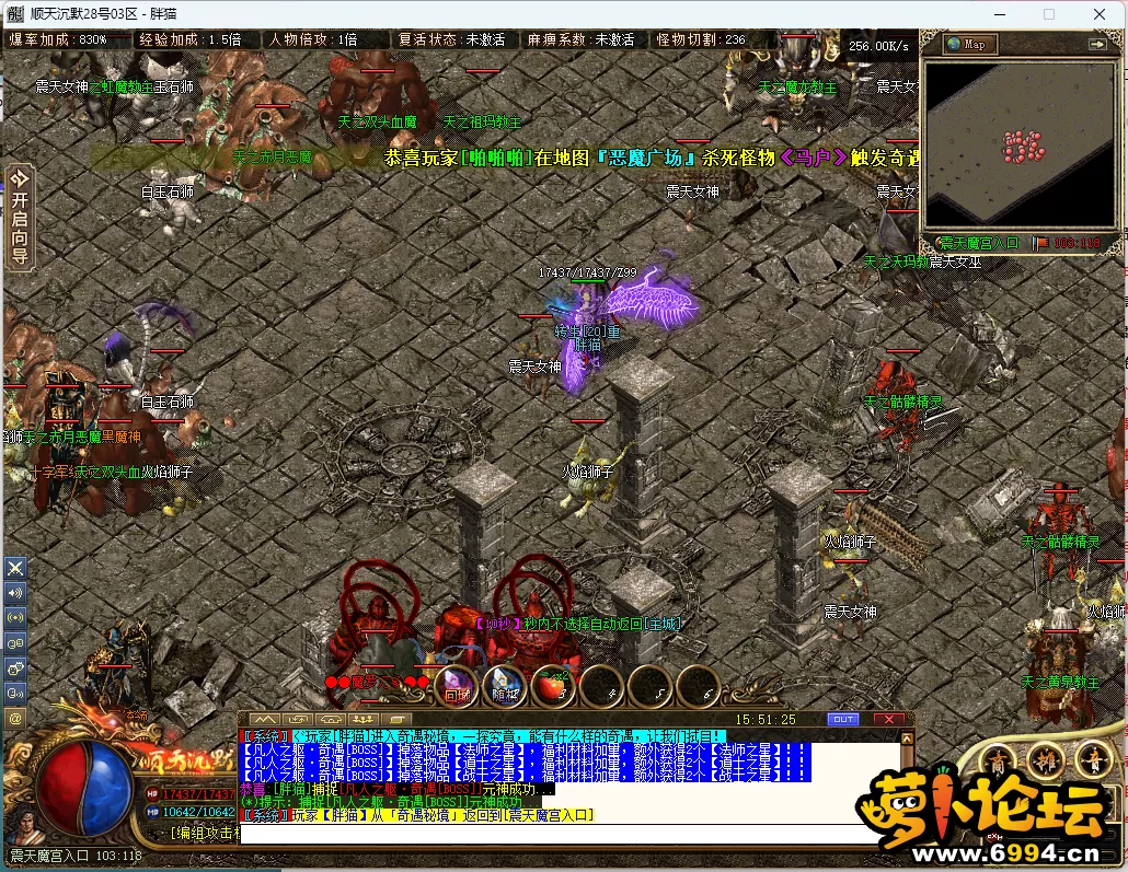 14.webp