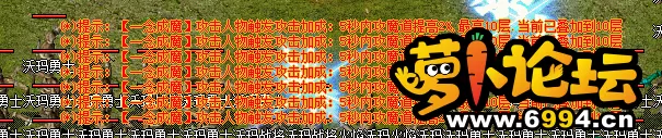 13.webp