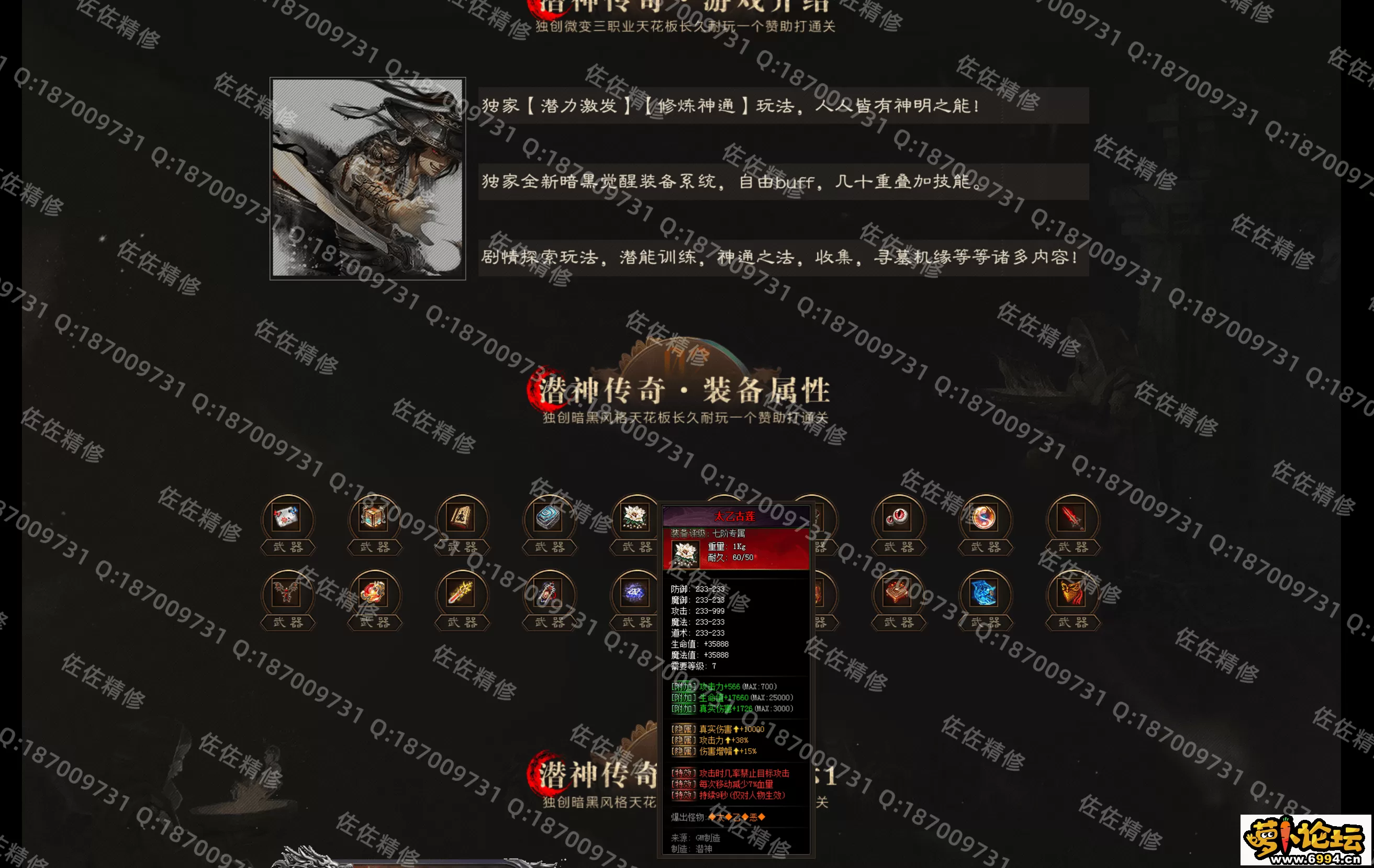 网站2.webp