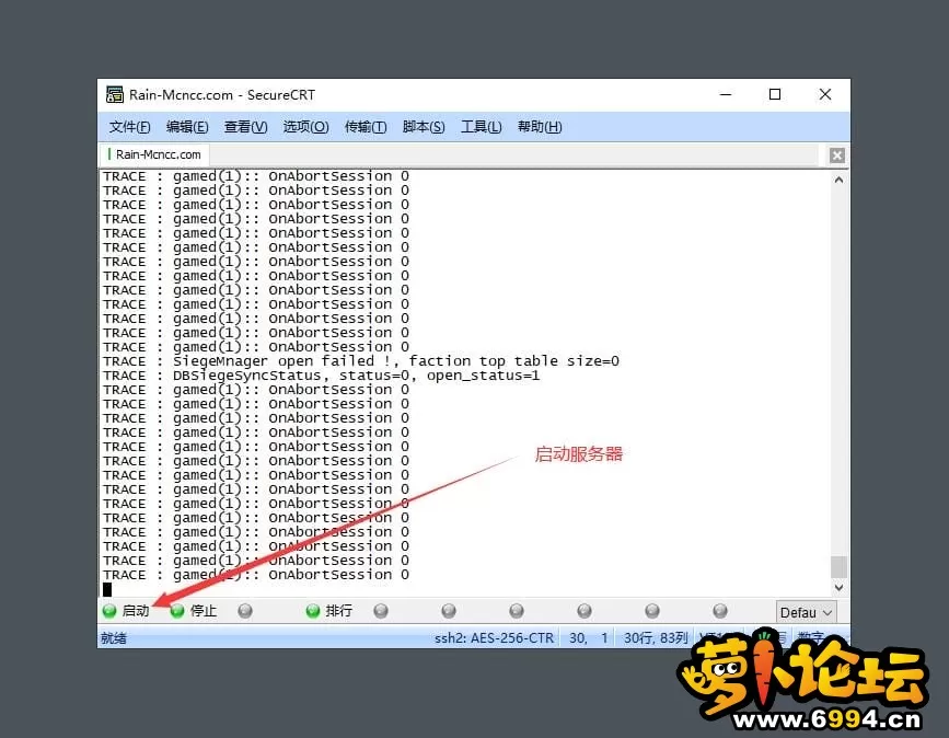 5.webp