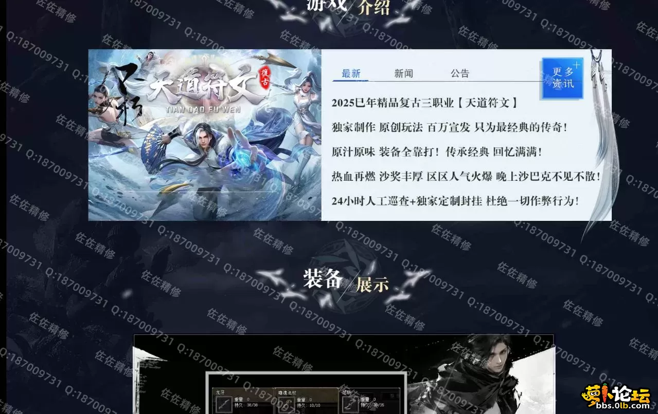 网站2.webp