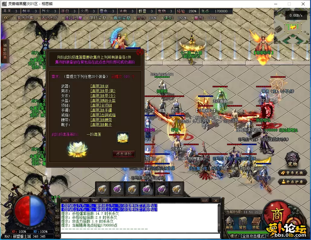 35.webp