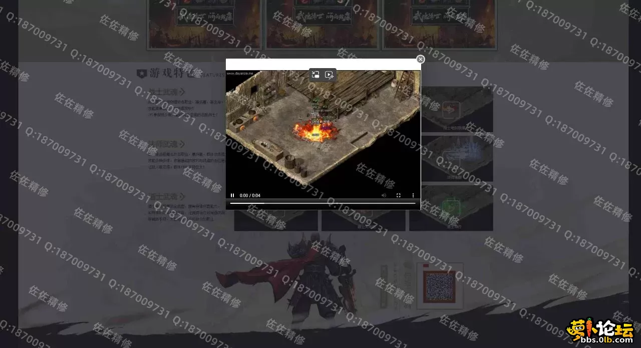 网站4.webp