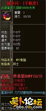 13.webp