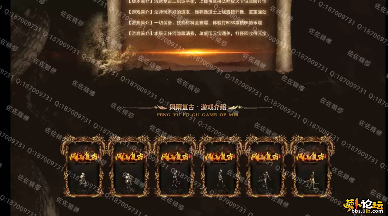 网站2.webp
