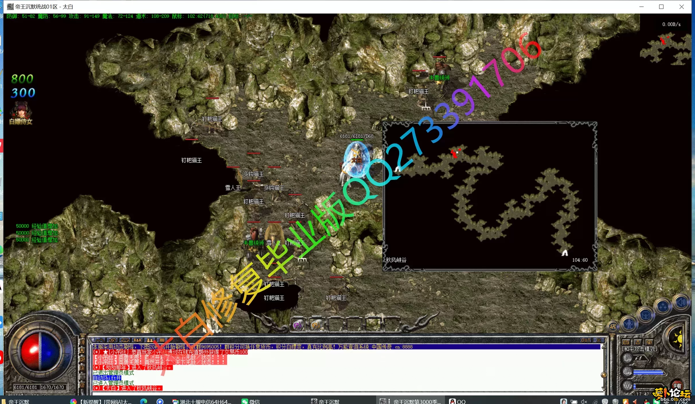 11.webp